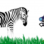 Out in the Wild Song