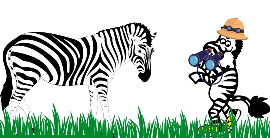 Out in the Wild Song