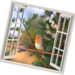 Up and Down Action Song