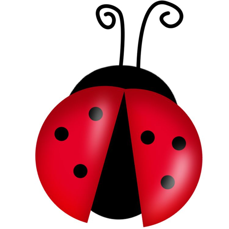 Lady Bug Song 🐞